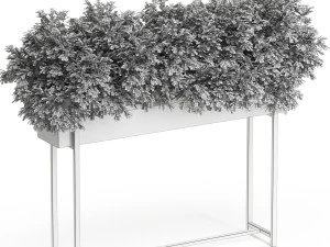 Plants collection 588 3D Model