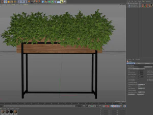 Plants collection 588 3D Model