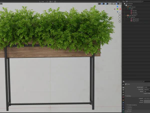 Plants collection 588 3D Model