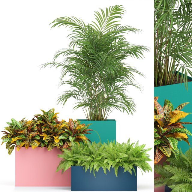 Plants collection 589 3D Model .c4d .max .obj .3ds .fbx .stl .blend 
