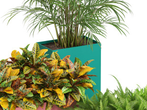 Plants collection 589 3D Model
