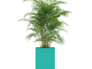Plants collection 589 3D Model