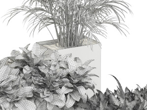 Plants collection 589 3D Model