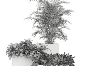 Plants collection 589 3D Model