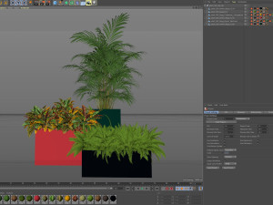 Plants collection 589 3D Model