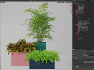 Plants collection 589 3D Model