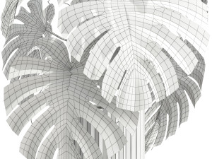 Plants collection 590 3D 模型