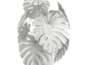 Plants collection 590 3D 模型