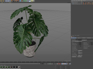 Plants collection 590 3D 模型
