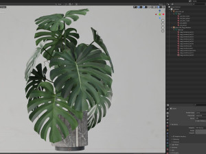 Plants collection 590 3D 模型