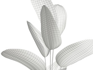 Plants collection 592 3D Model