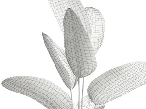 Plants collection 592 3D Model