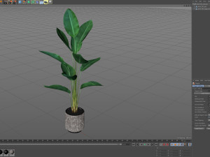 Plants collection 592 3D Model