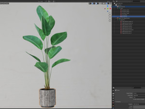 Plants collection 592 3D Model