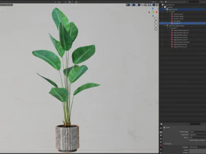Plants collection 592 3D Model