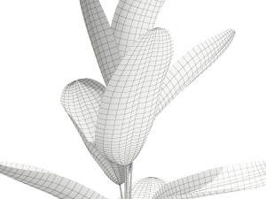 Plants collection 593 3D Model