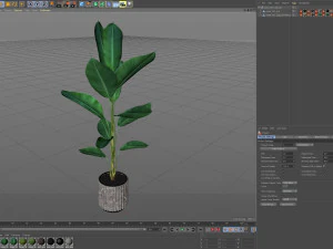 Collezione piante 593 Modello 3D