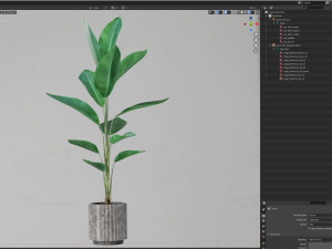 Plants collection 593 3D Model
