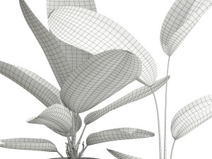 Plants collection 594 3D 模型