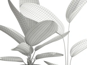 Plants collection 594 3D Model