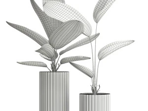 Plants collection 594 3D Model