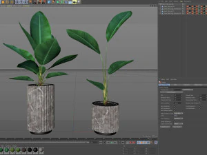 Plants collection 594 3D Model
