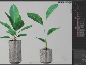 Plants collection 594 3D 模型