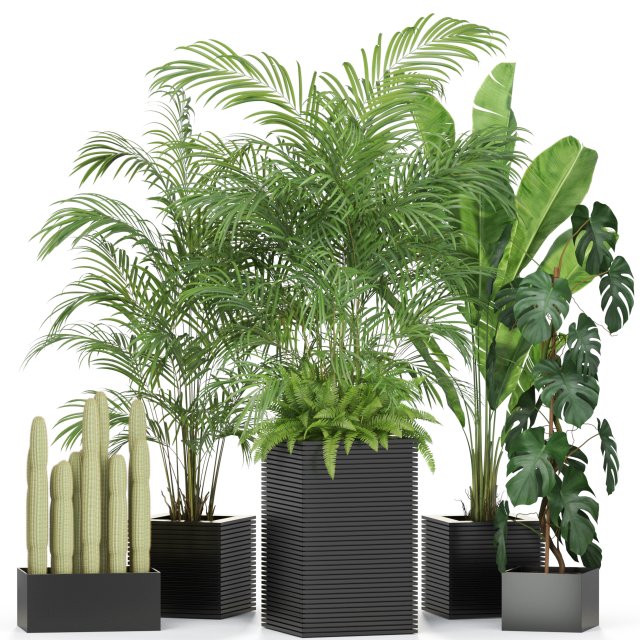 Plants collection 595 3D 模型 .c4d .max .obj .3ds .fbx .stl .blend 