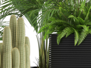 Plants collection 595 3D 模型