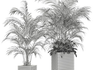Plants collection 595 3D 模型