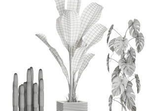 Plants collection 595 3D 模型
