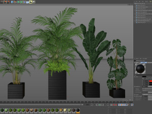 Plants collection 595 3D 模型