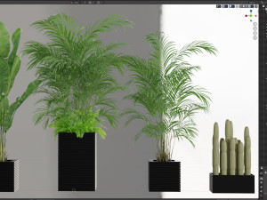 Plants collection 595 3D 模型