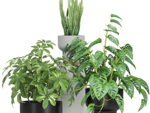 Plants collection 596 Modelo 3D