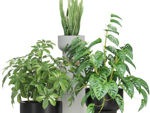 Plants collection 596 3D Model