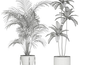 Plants collection 596 Modelo 3D