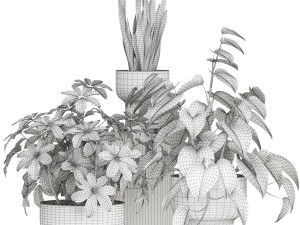 Plants collection 596 Modelo 3D