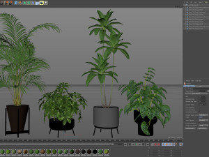 Plants collection 596 Modelo 3D