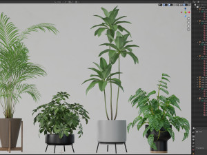 Plants collection 596 Modelo 3D