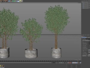 Plants collection 597 3D Model