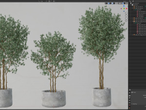 Plants collection 597 3D Model