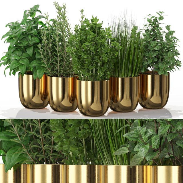 Plants collection 598 Model 3D .c4d .max .obj .3ds .fbx .stl .blend 