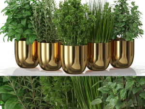 Cole&ccedil;&atilde;o de plantas 598 Modelo 3D