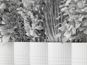 Plants collection 598 Model 3D