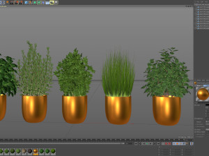 Plants collection 598 Model 3D