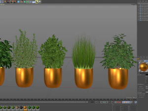 Plants collection 598 3D Model