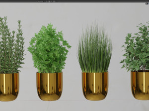 Plants collection 598 Model 3D