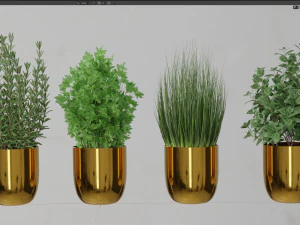Plants collection 598 3D Model