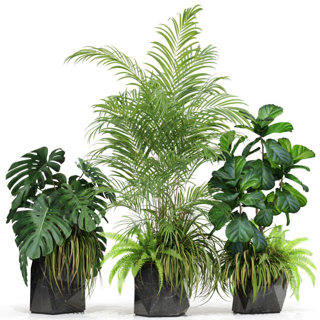 Plants collection 599 3D Model .c4d .max .obj .3ds .fbx .stl .blend 