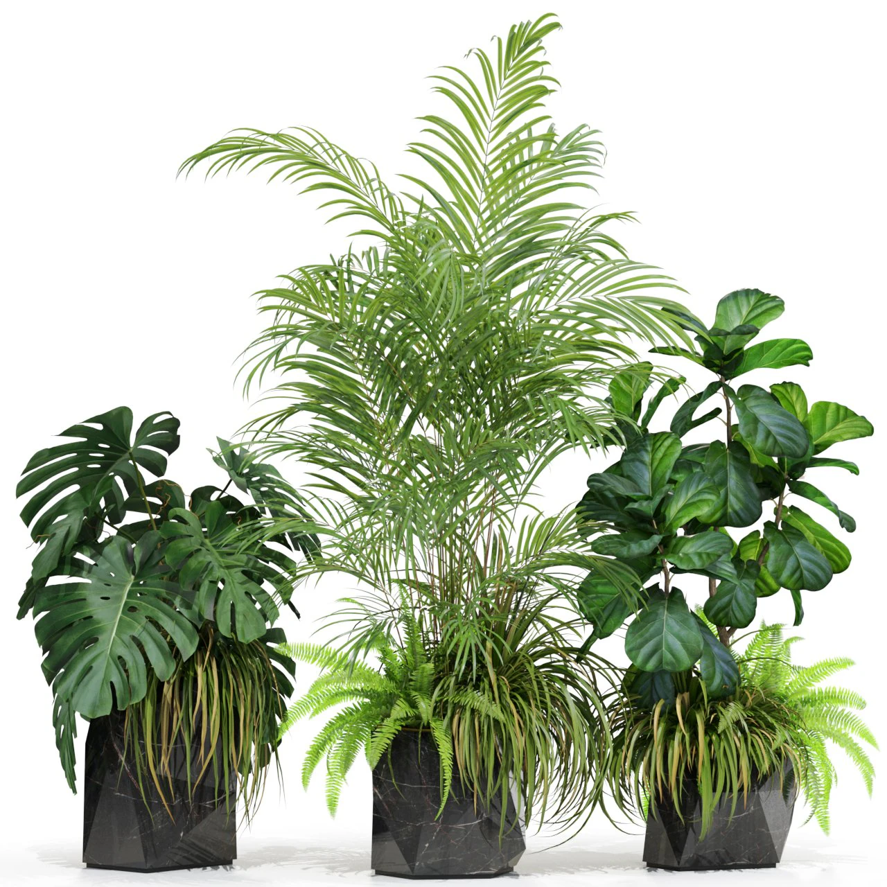 Plants collection 599 3D Model .c4d .max .obj .3ds .fbx .stl .blend 